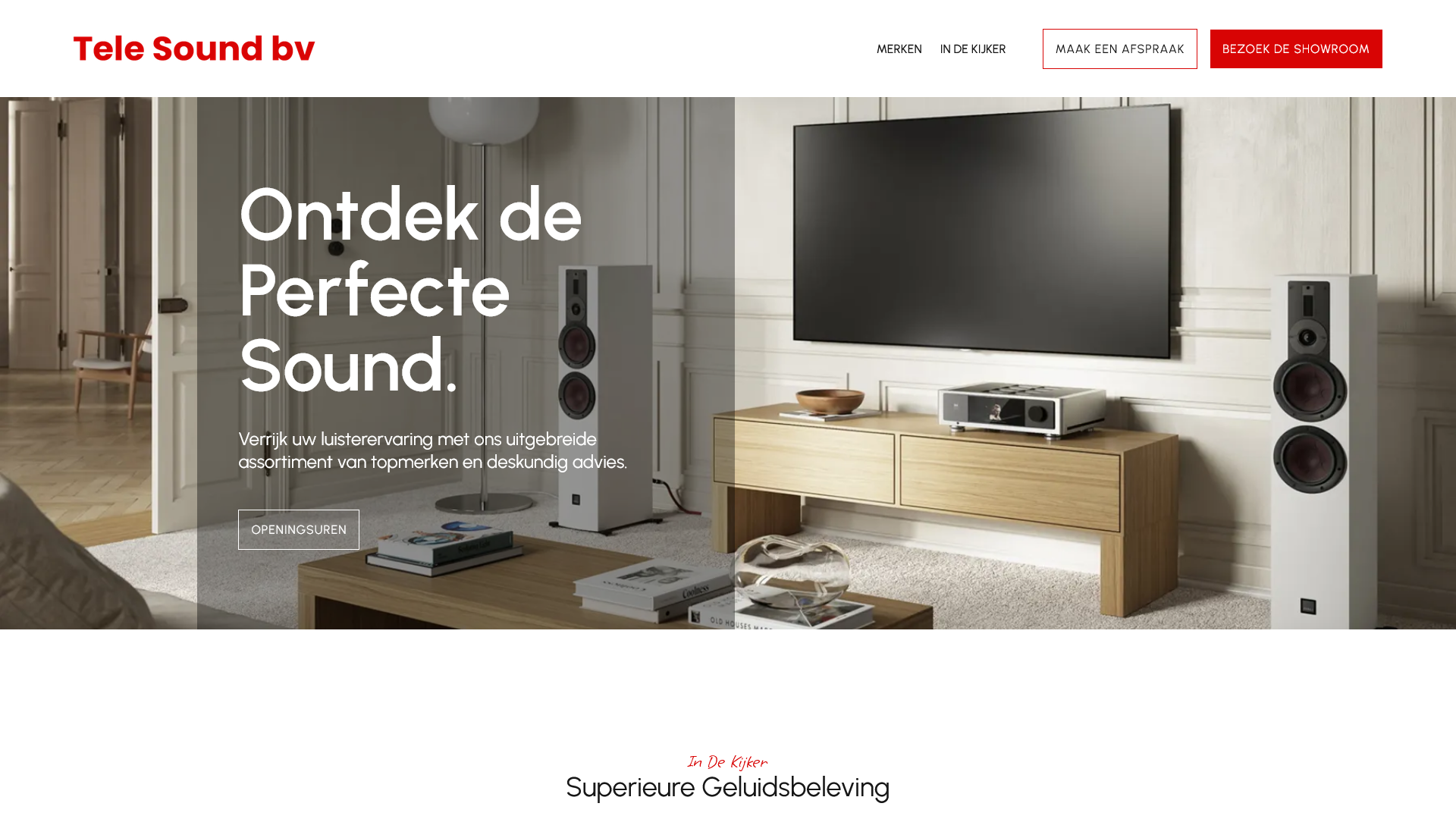webdesign voorbeeld winkel